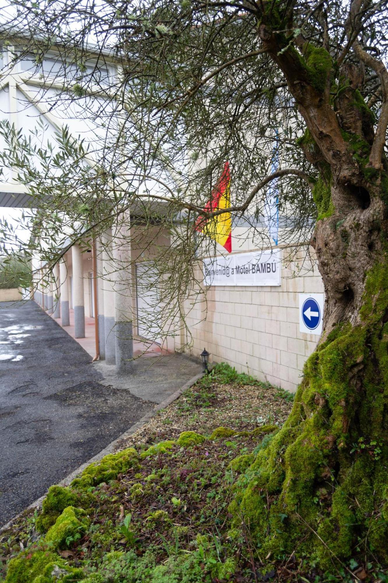 Motel Bambu Lugo Eksteriør bilde